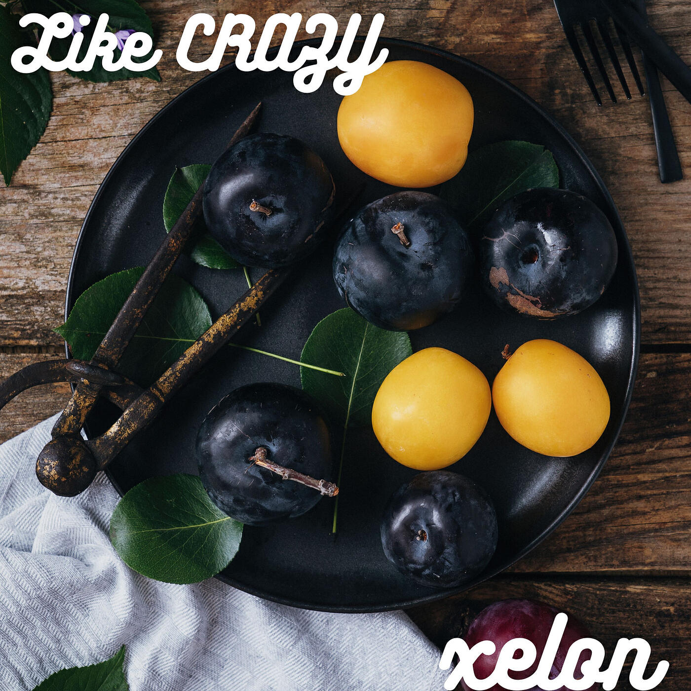 Релиз Like Crazy
