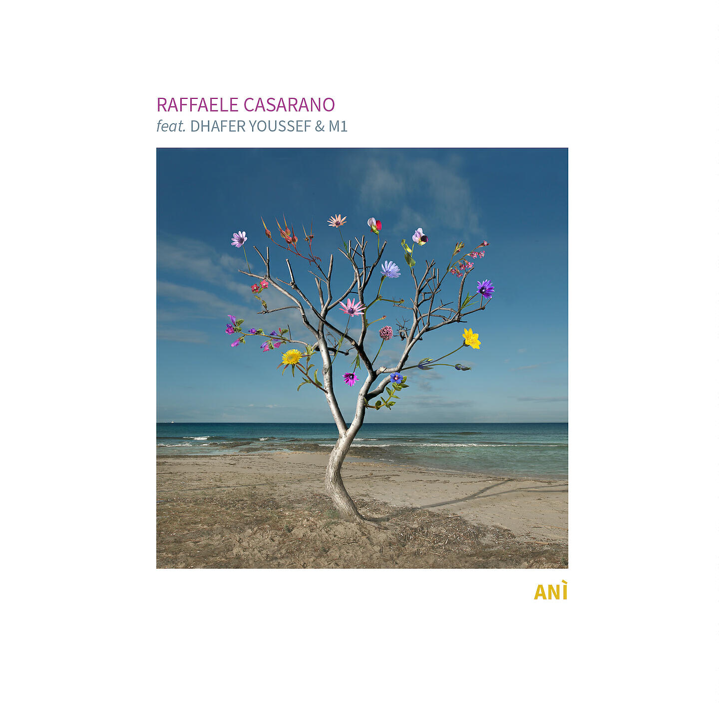 Alessandro Monteduro