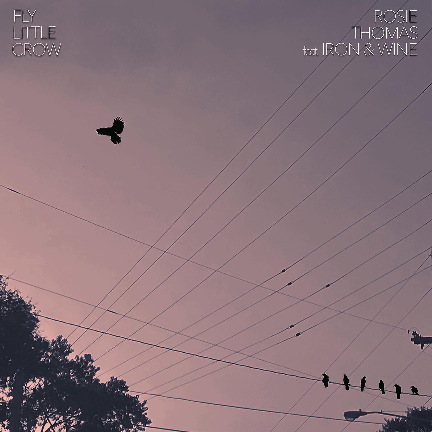 Релиз Fly Little Crow