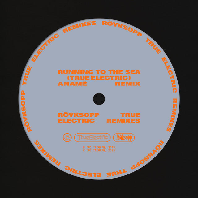 Релиз Running To The Sea (anamē Remix)