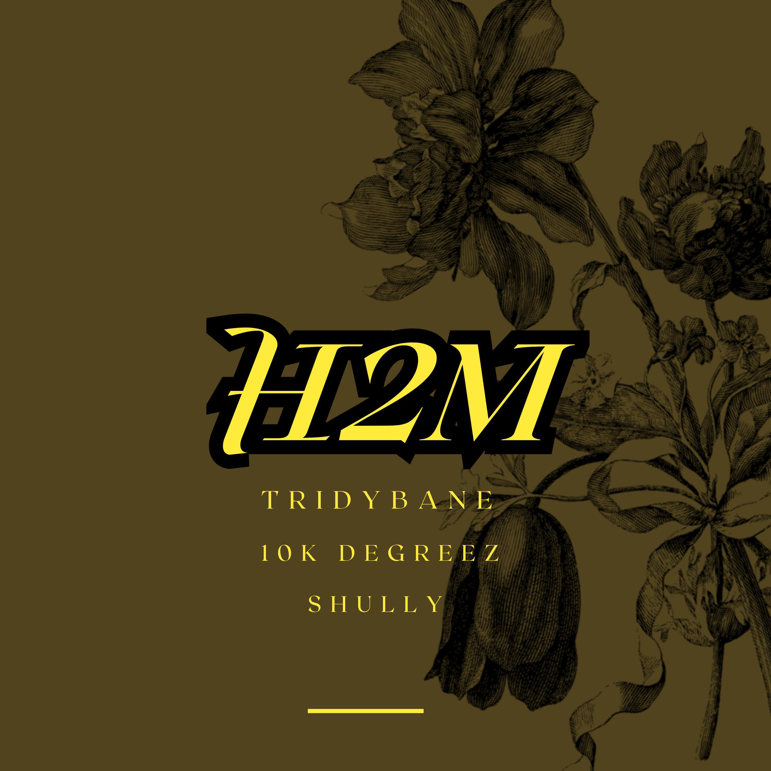Релиз H2M