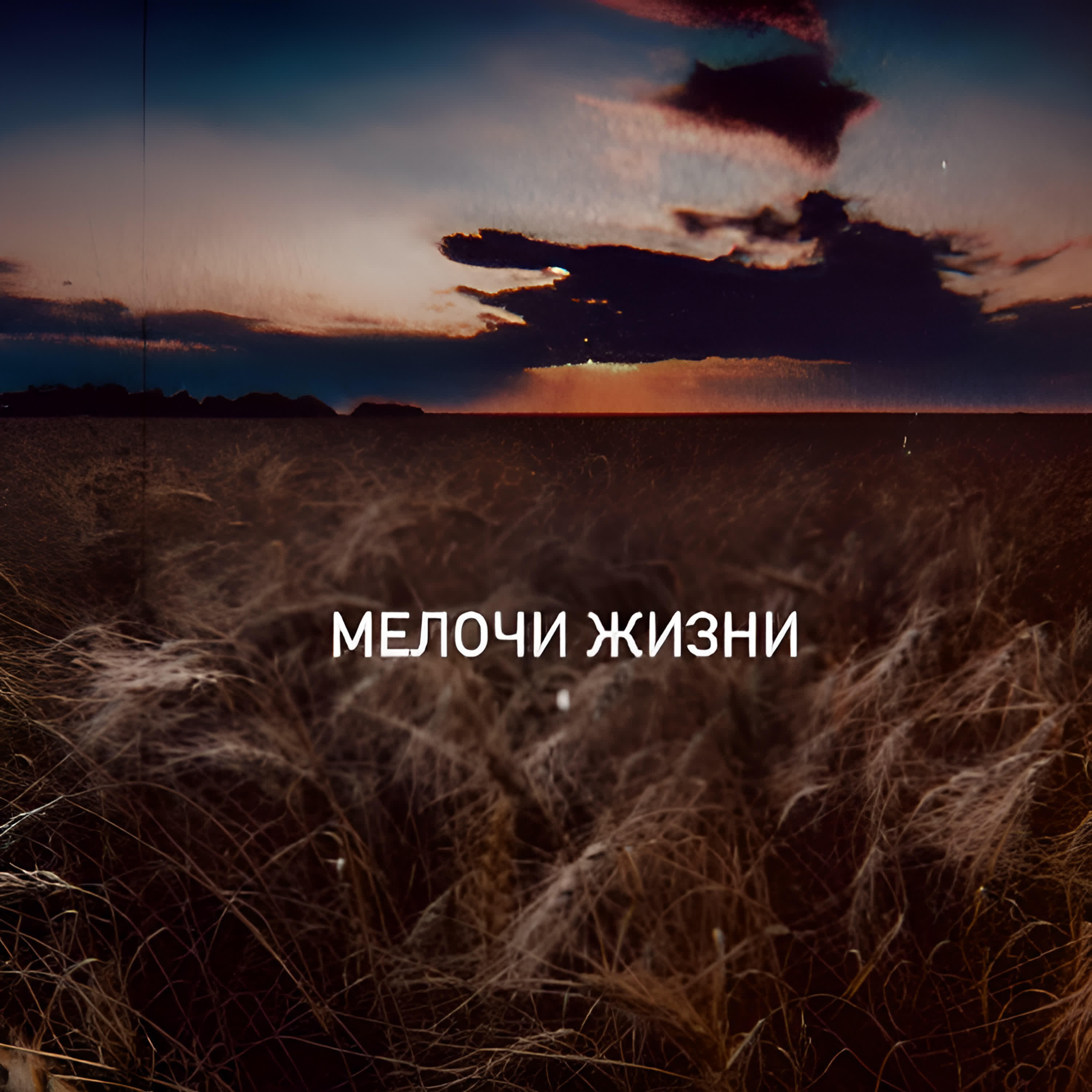 Релиз Мелочи жизни