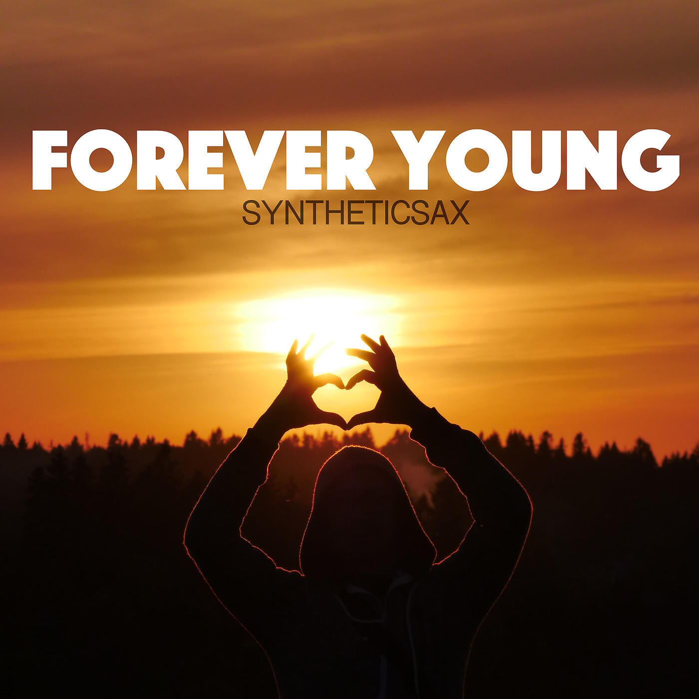 Постер альбома Forever Young