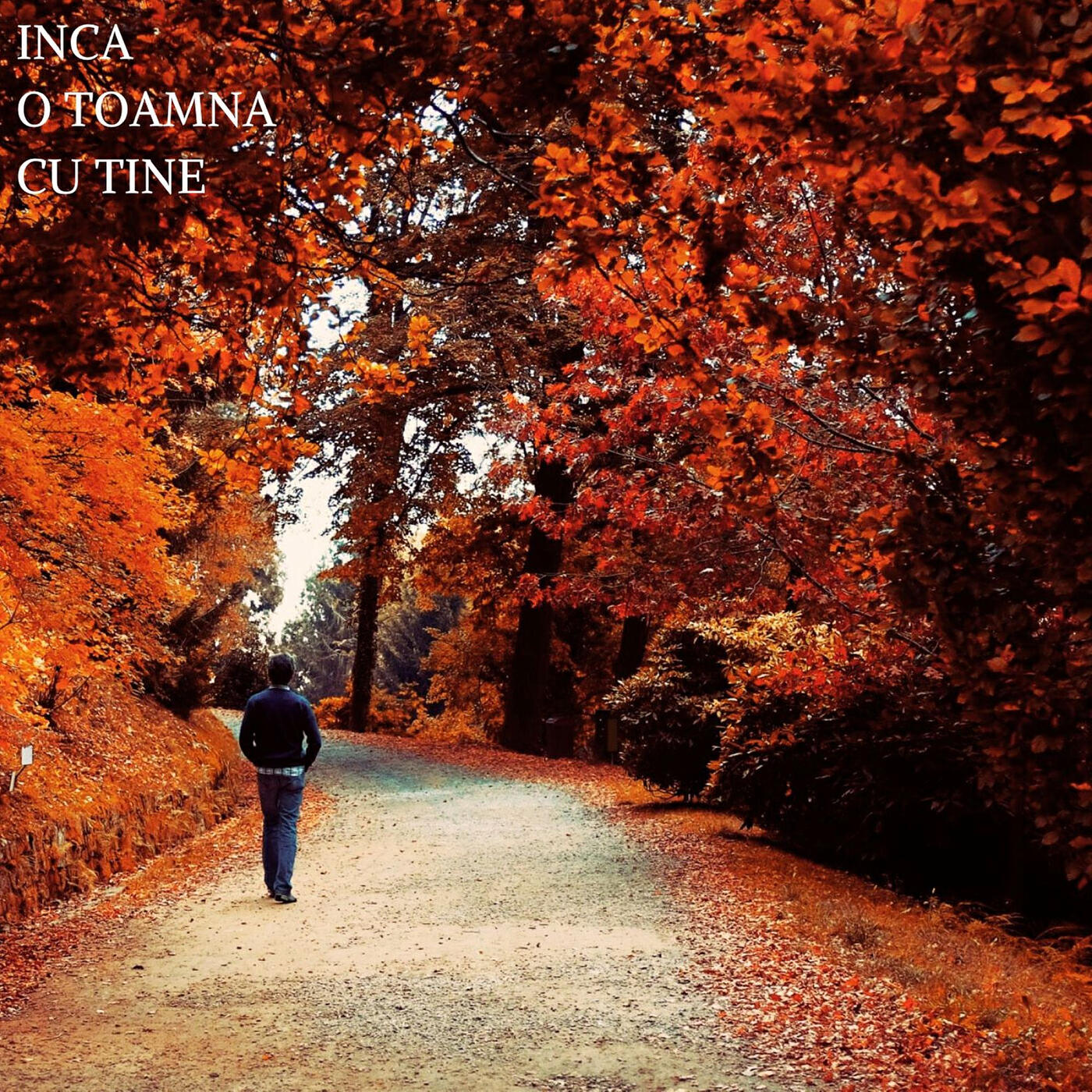 Постер альбома Inca O Toamna Cu Tine