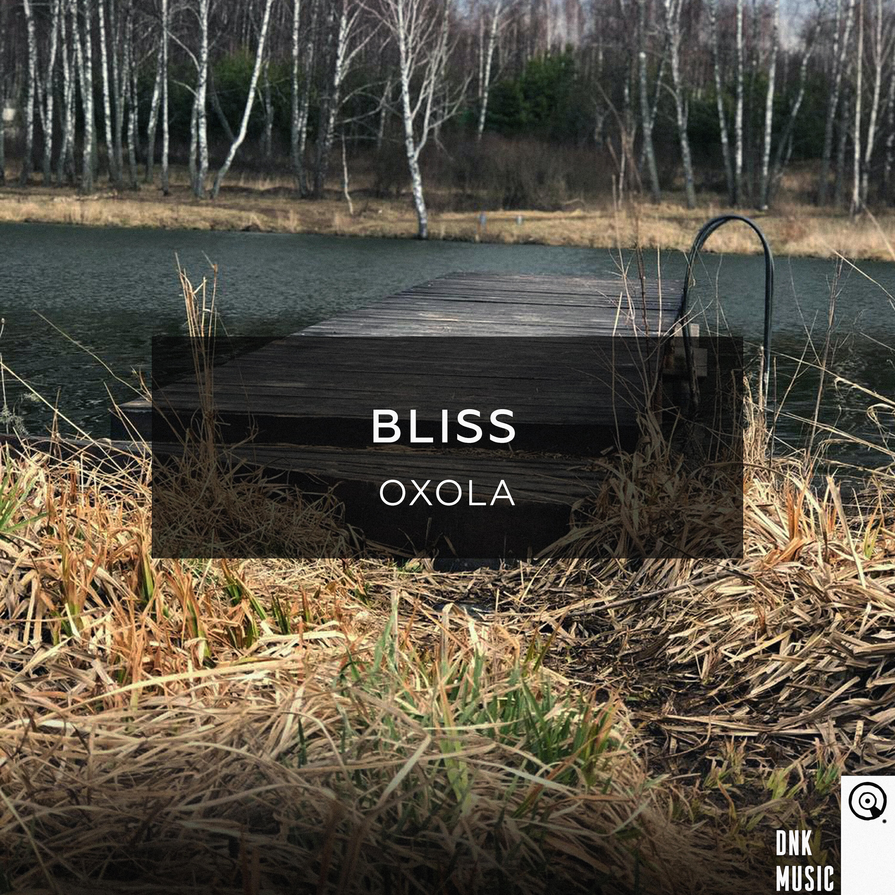Релиз Bliss