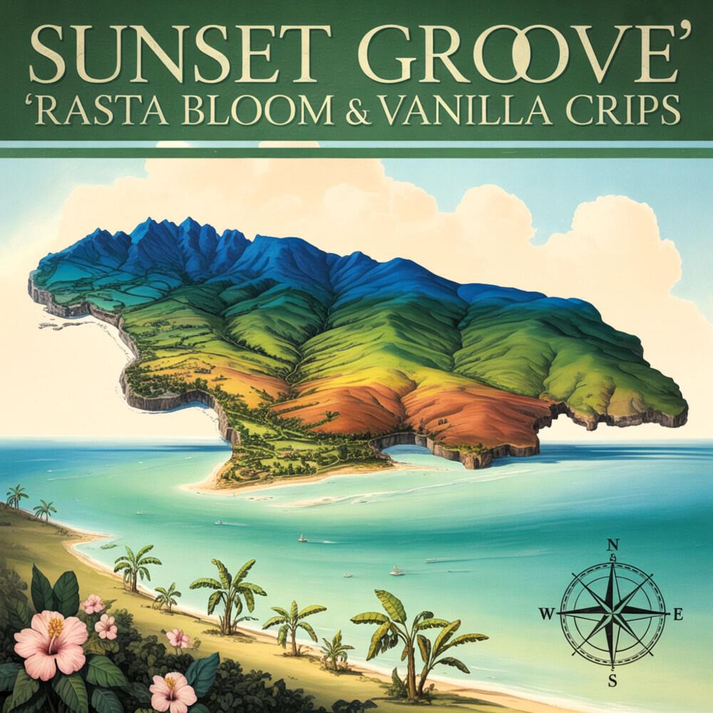 Релиз Sunset Groove