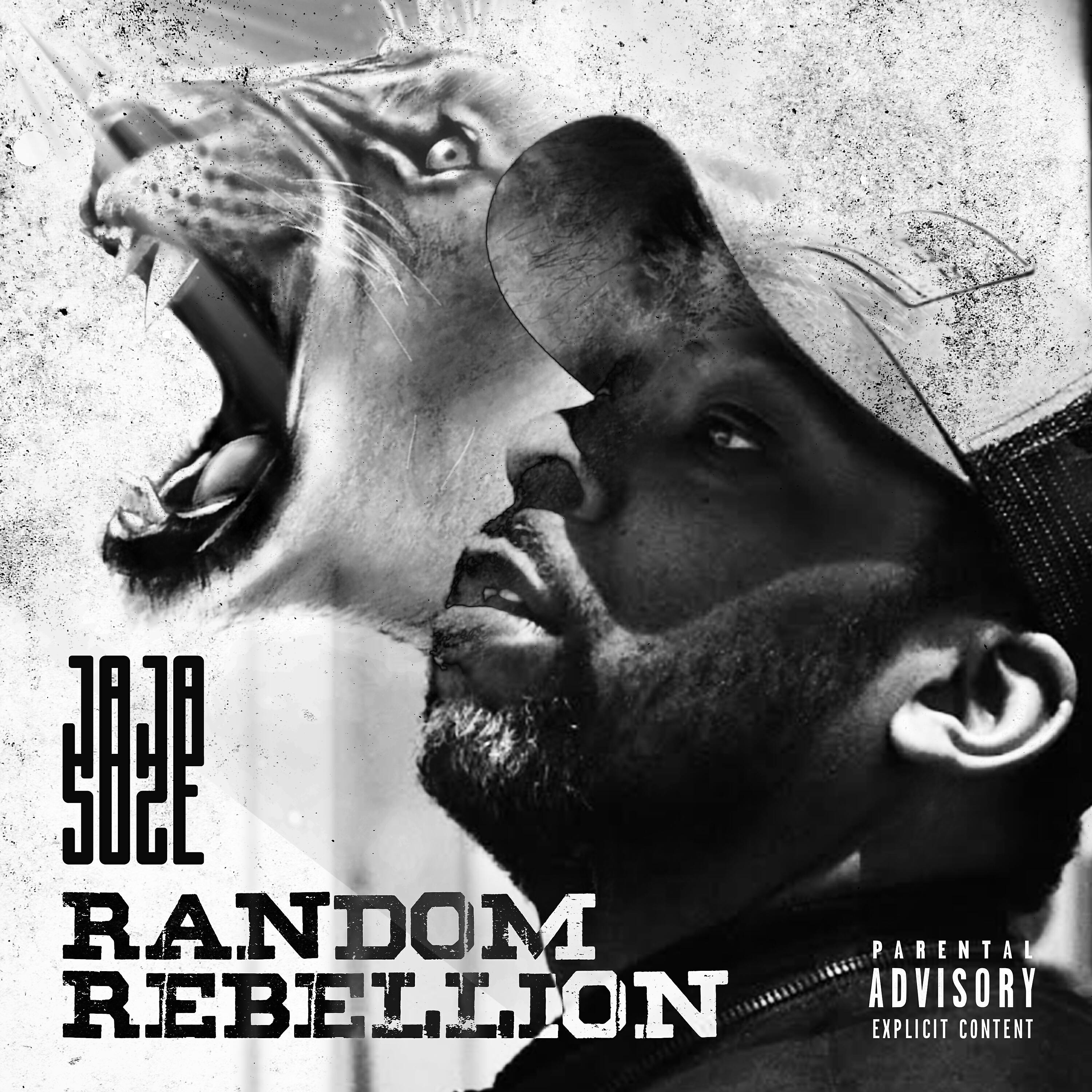 Релиз Random Rebellion