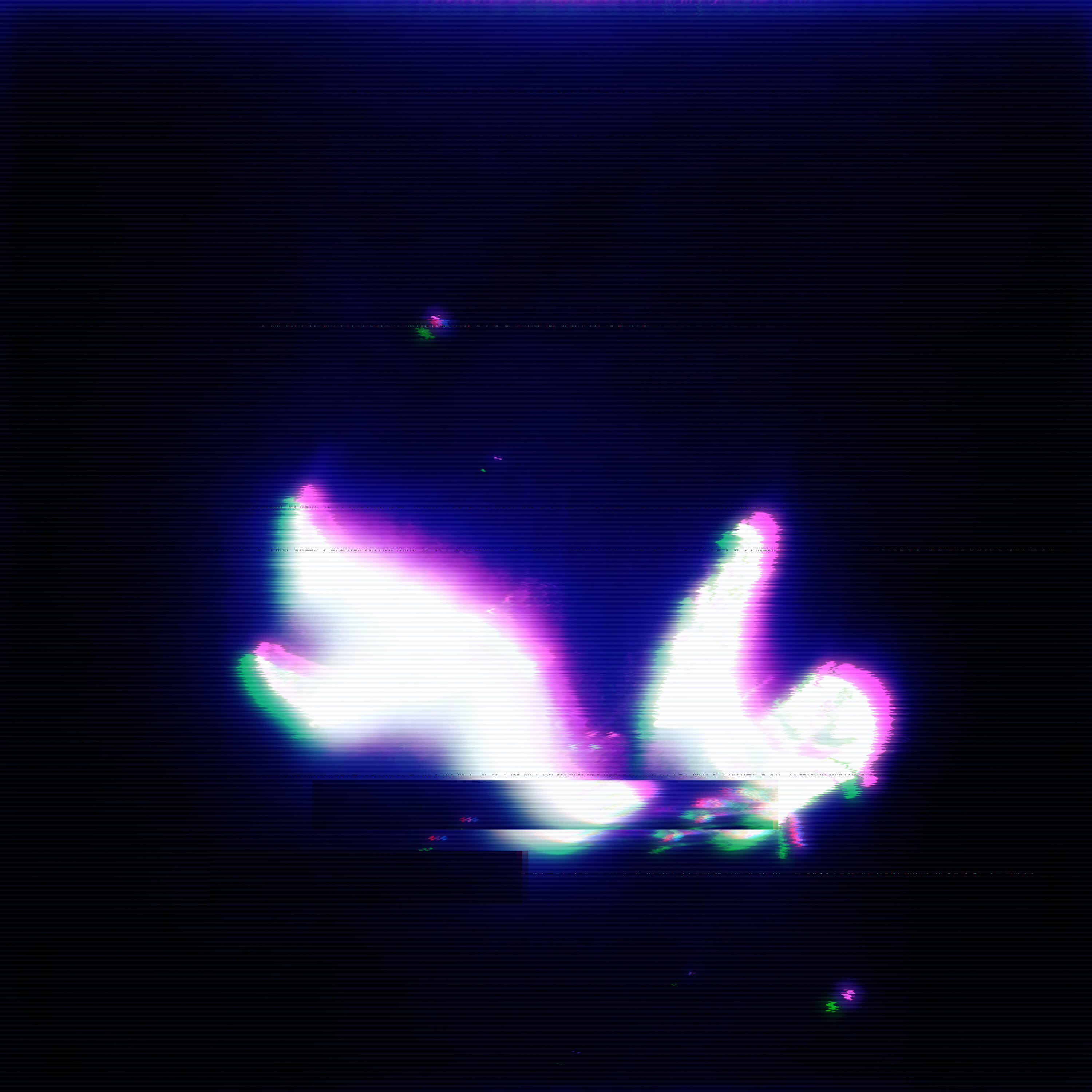 XSalamander