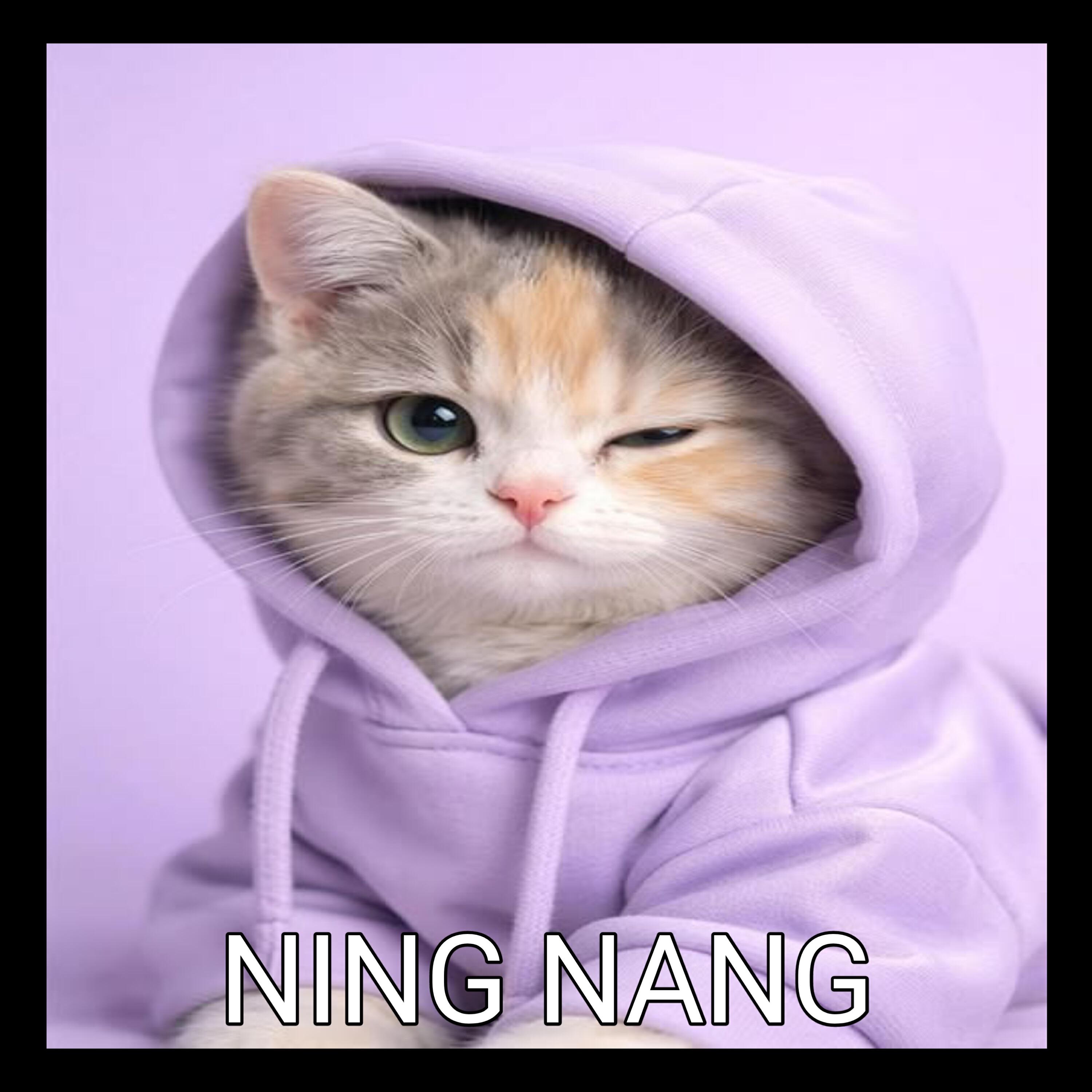 Релиз Ning Nang