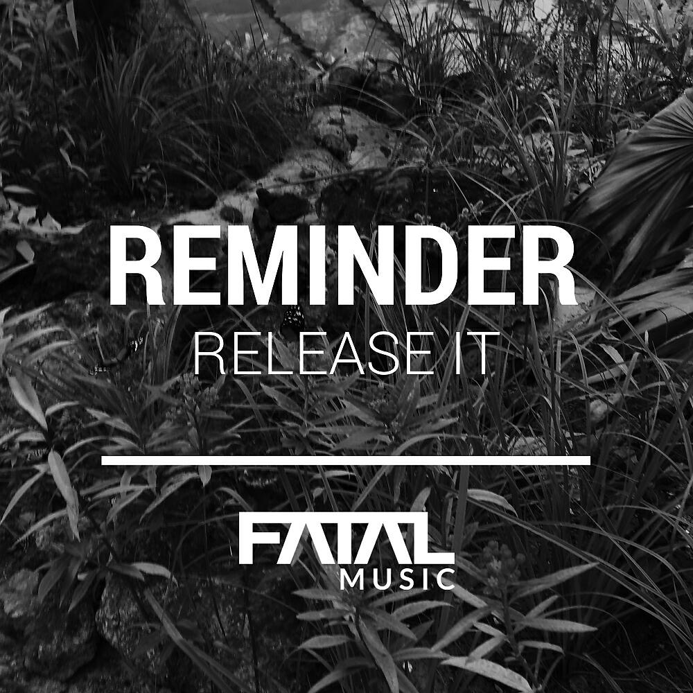 Релиз Release It