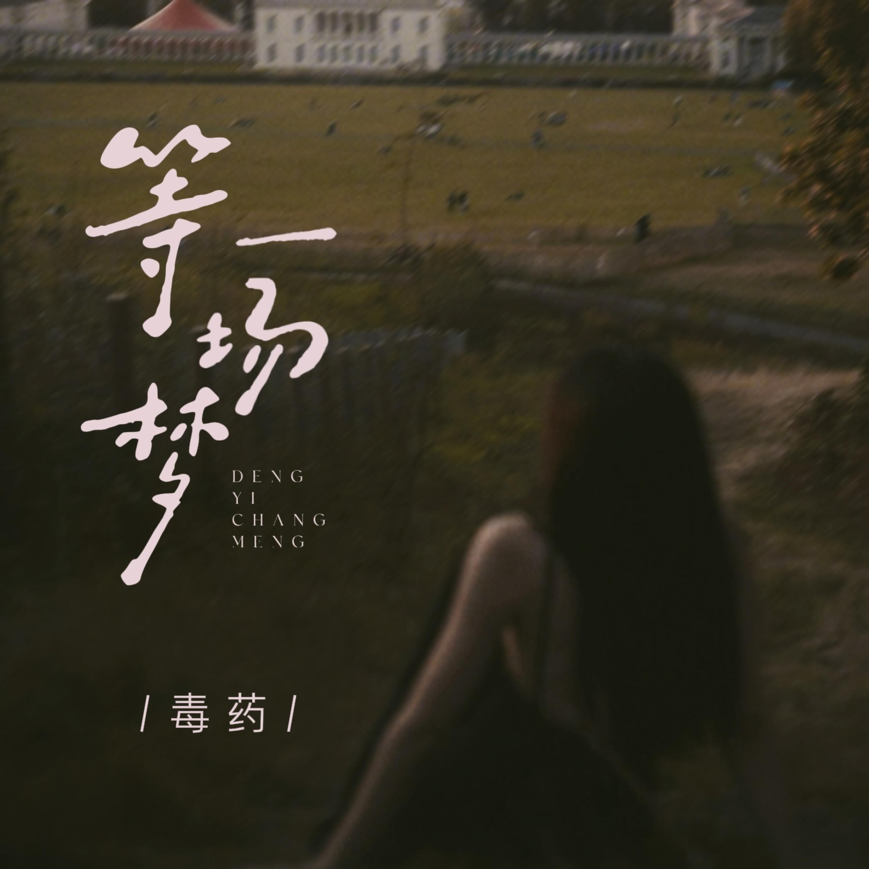 Релиз 等一场梦