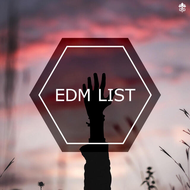 Релиз EDM List