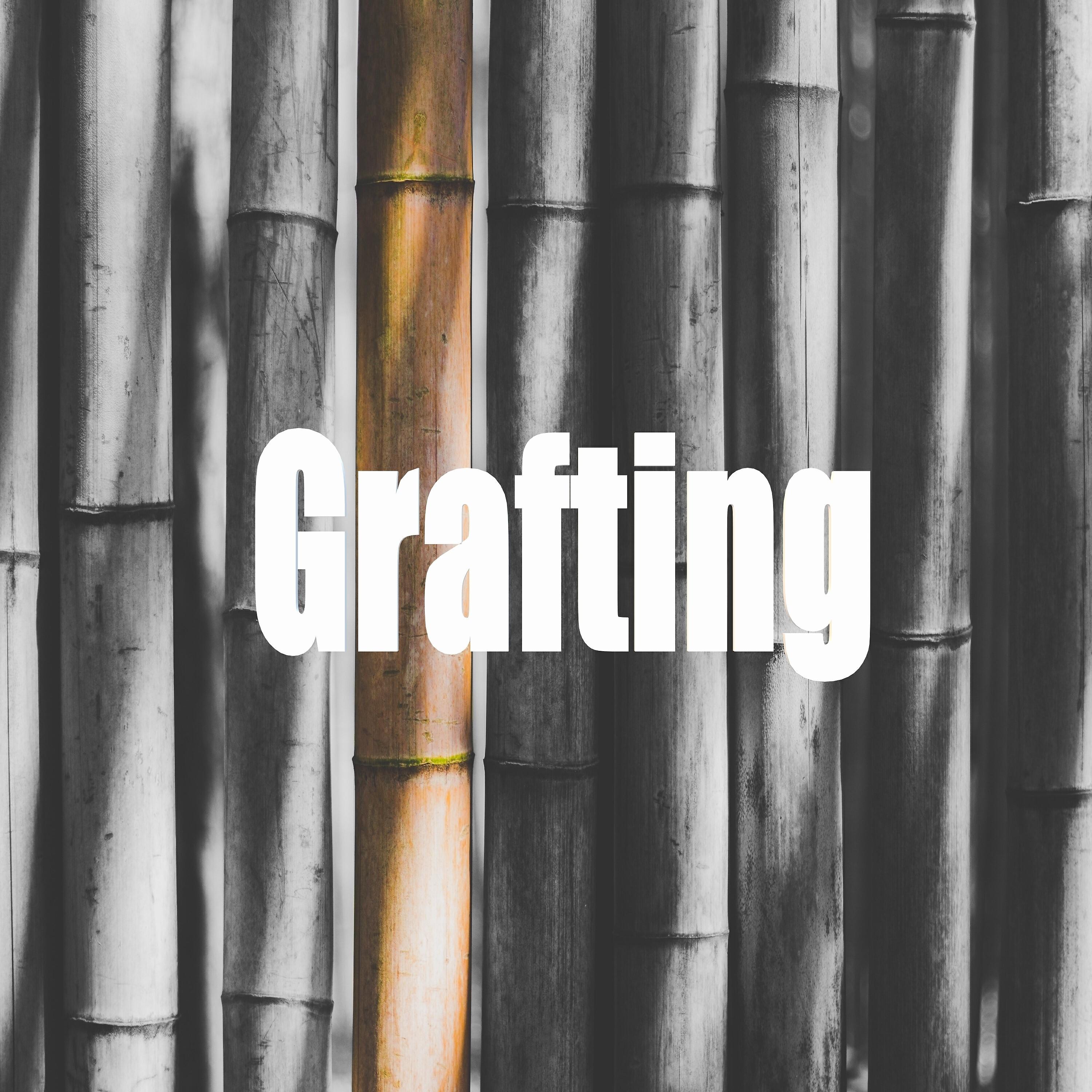 Релиз Grafting
