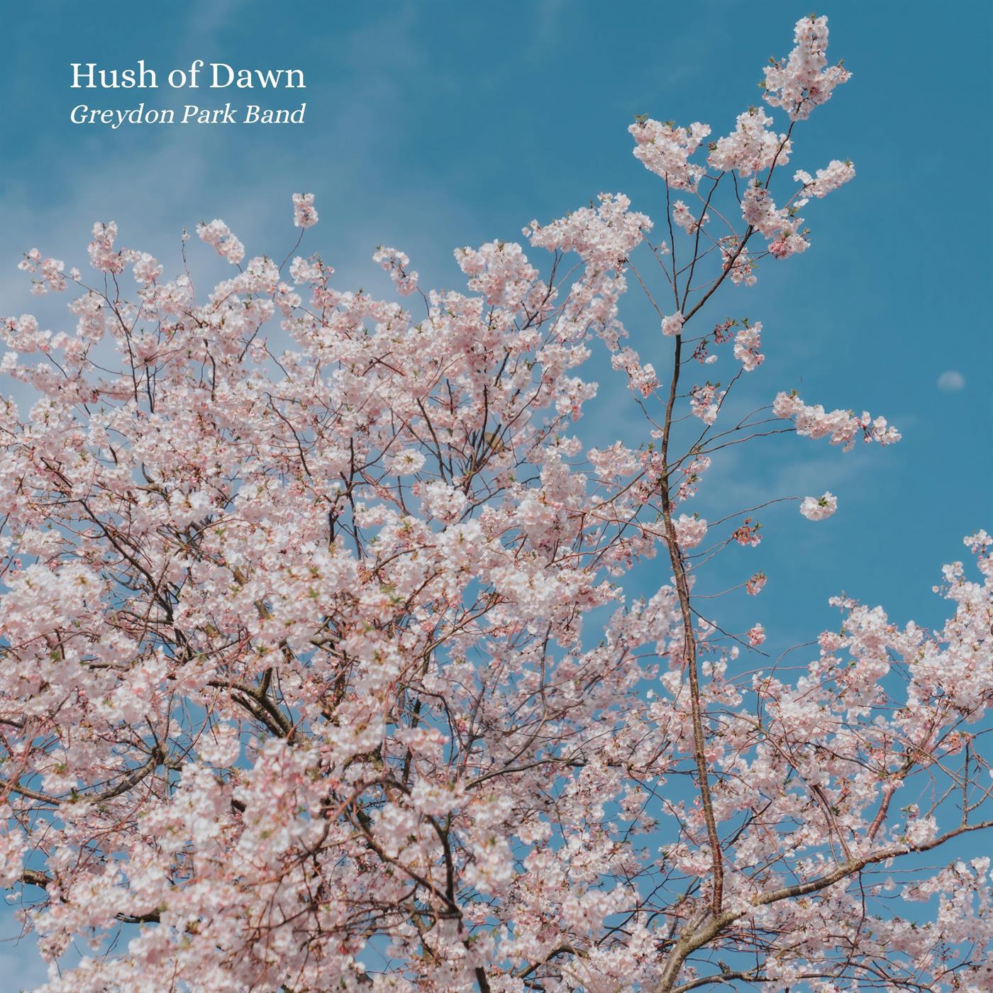 Релиз Hush of Dawn