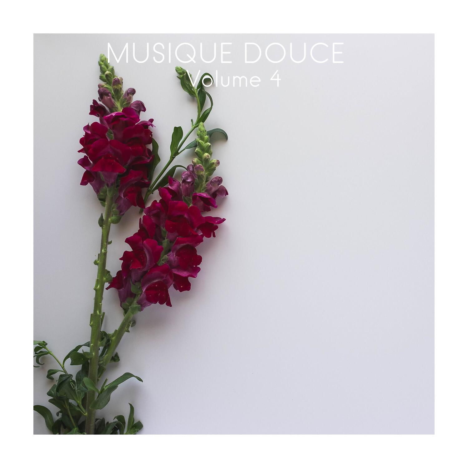 Релиз Musique Douce, Vol. 4