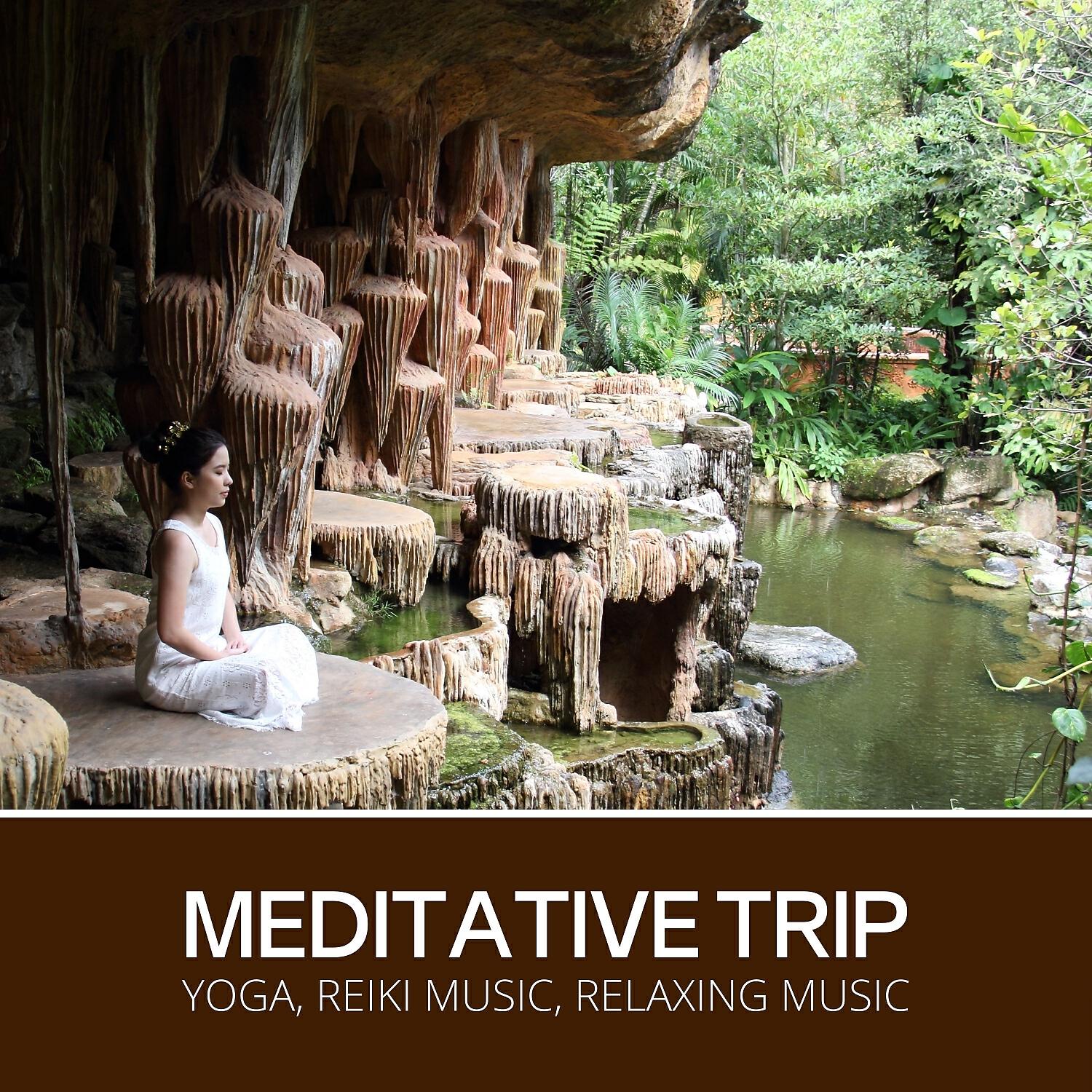 Релиз Meditative Trip