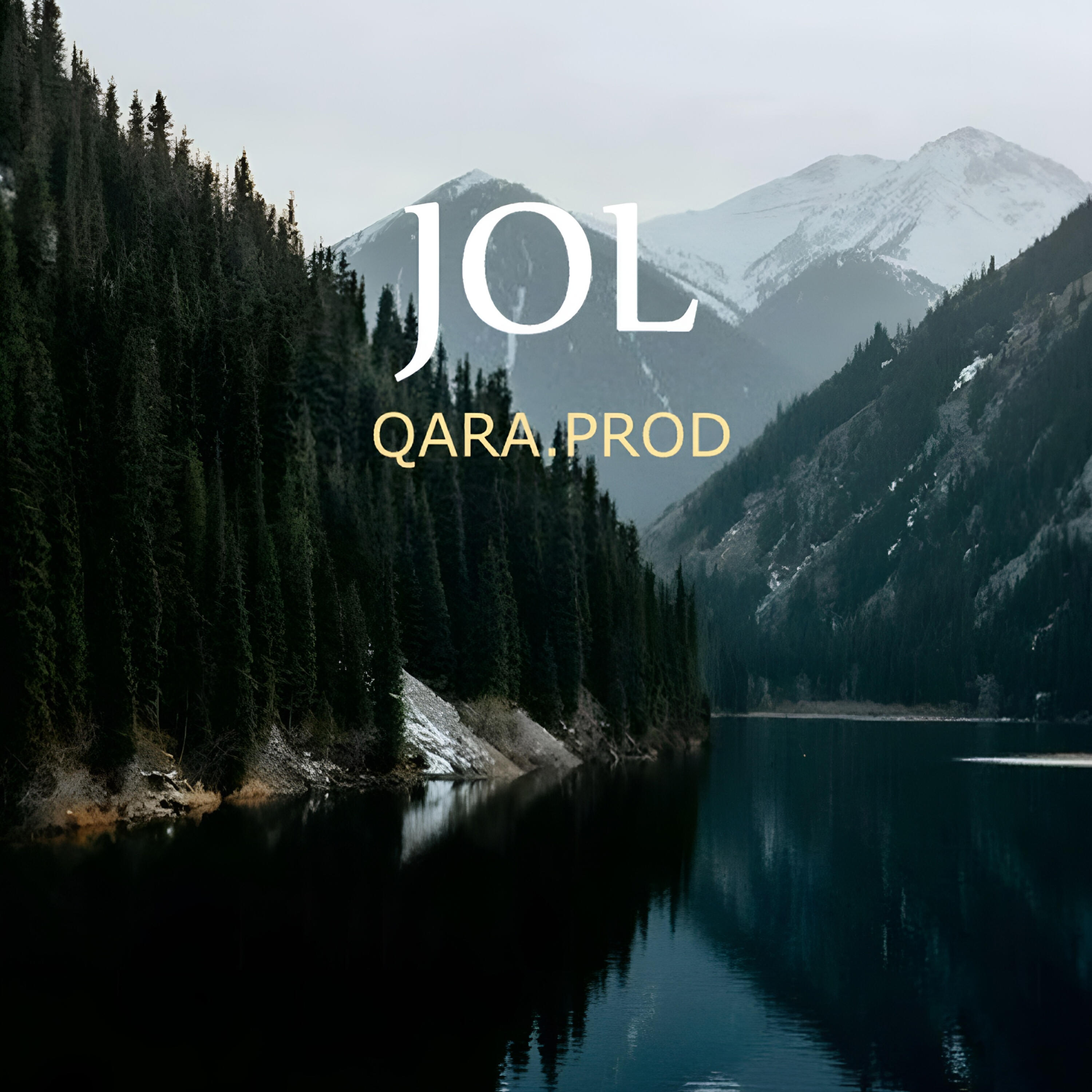 Релиз JOL