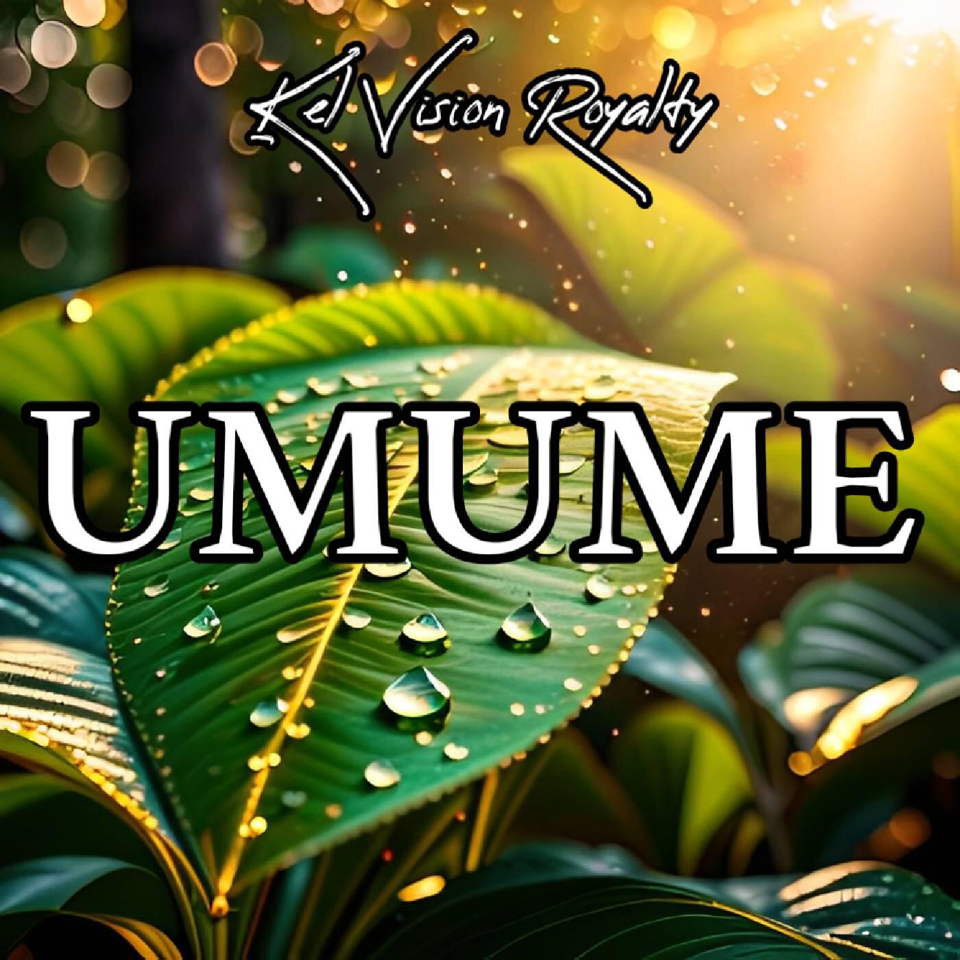 Релиз Umume