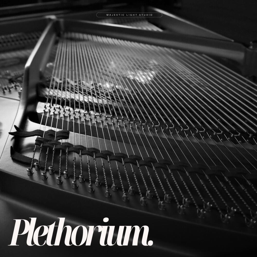 Релиз Plethorium