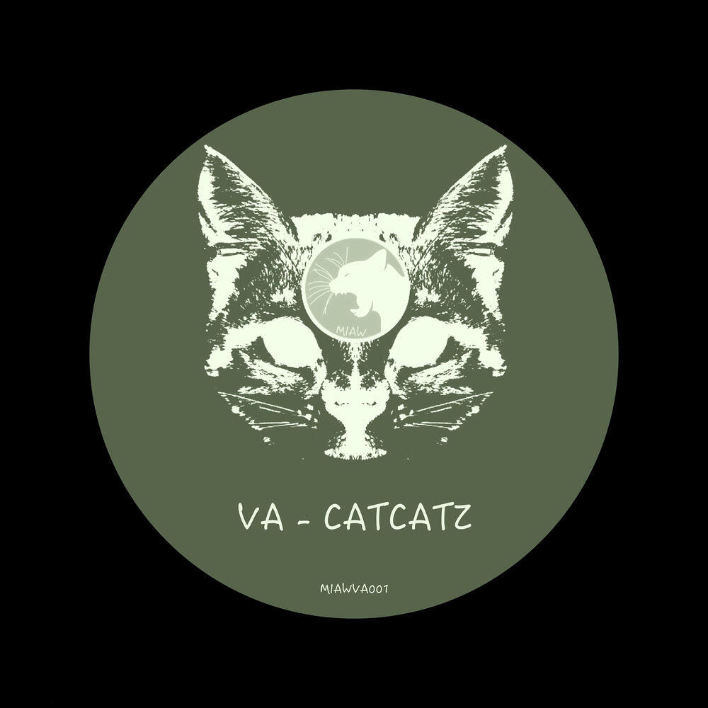 Релиз Catcatz
