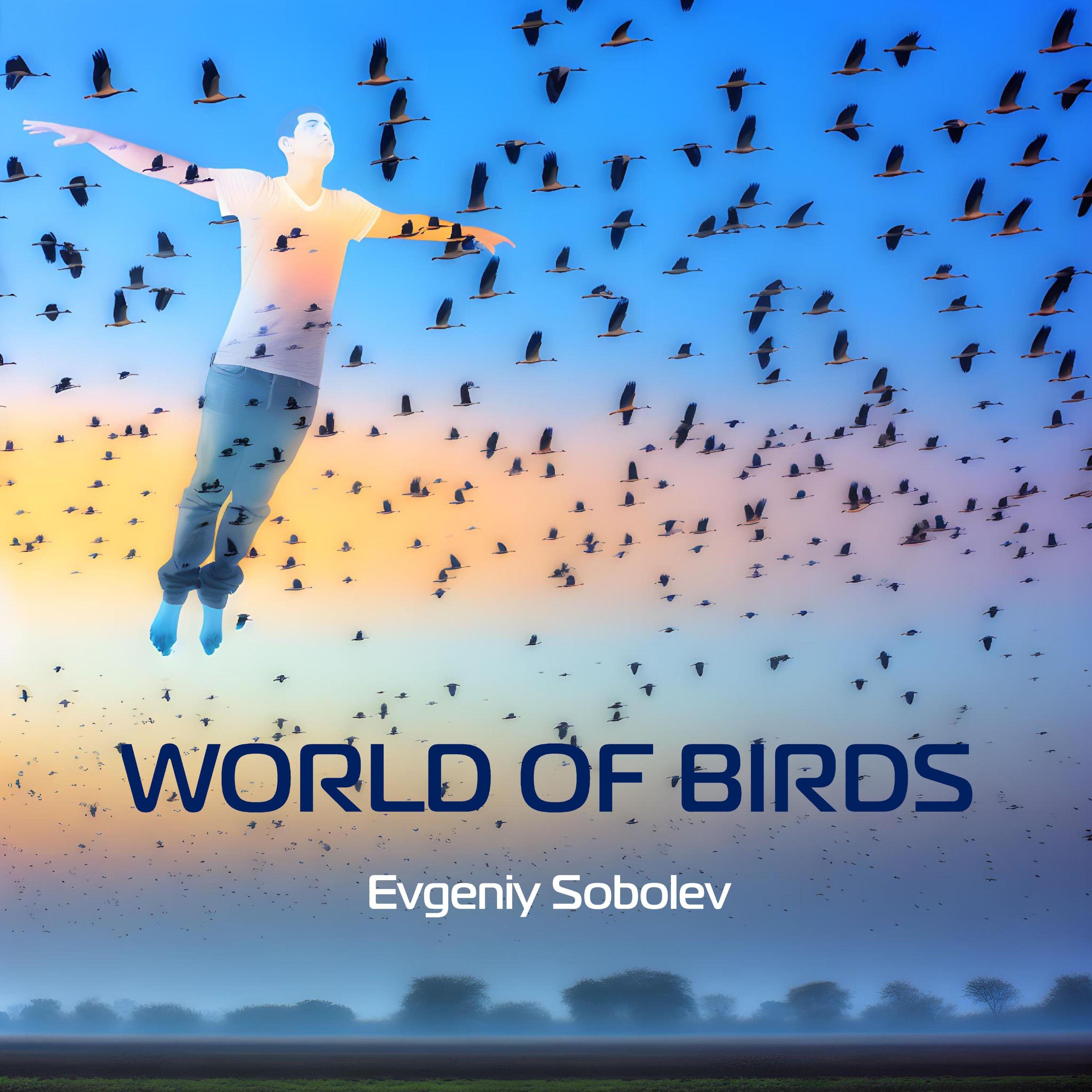 Релиз World of Birds