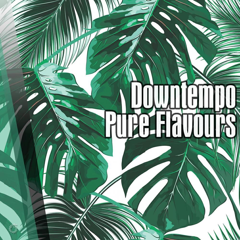 Релиз Downtempo Pure Flavours