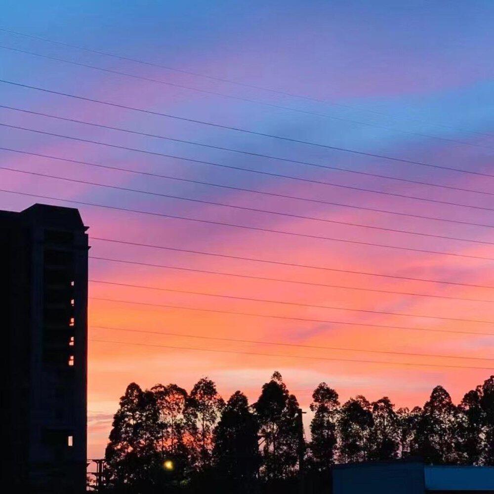 张闲憨