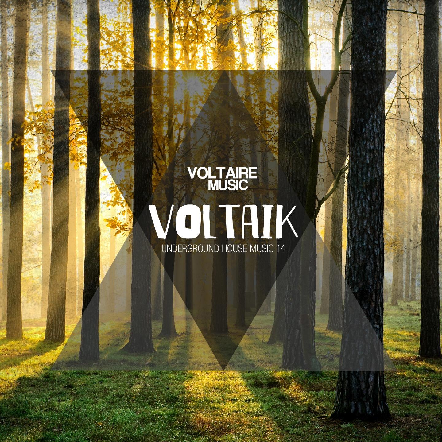 Релиз Voltaik, Vol. 14