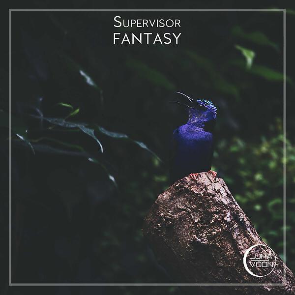 Релиз Fantasy