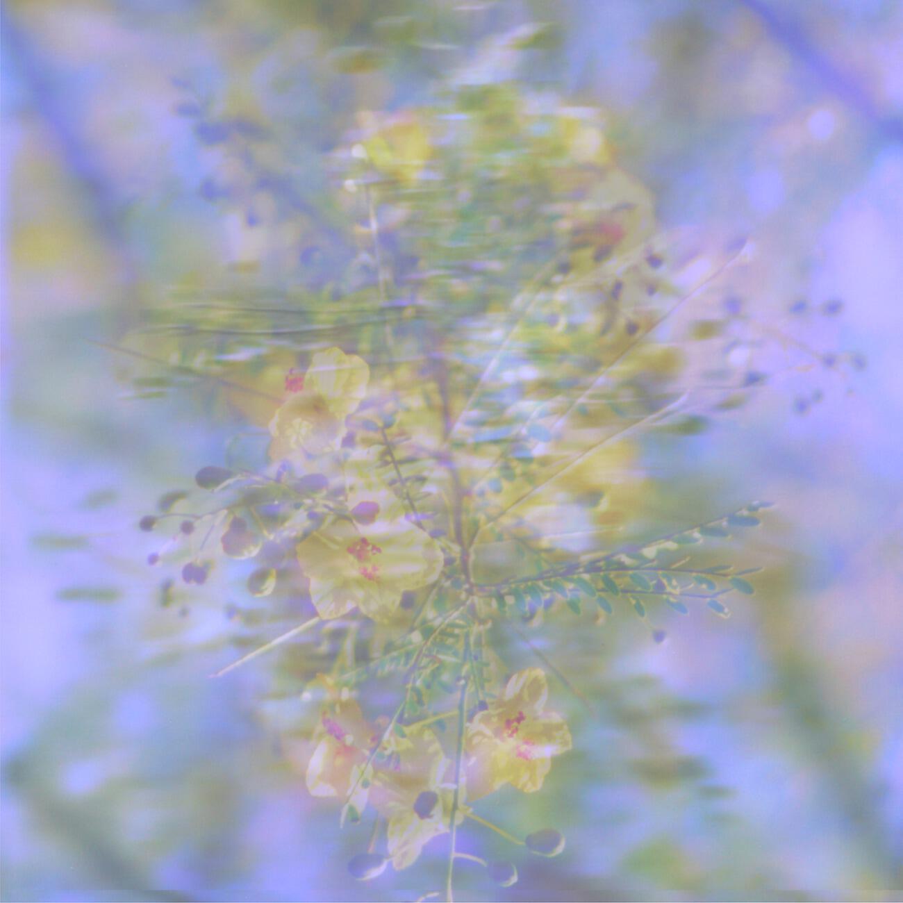 Релиз Garden