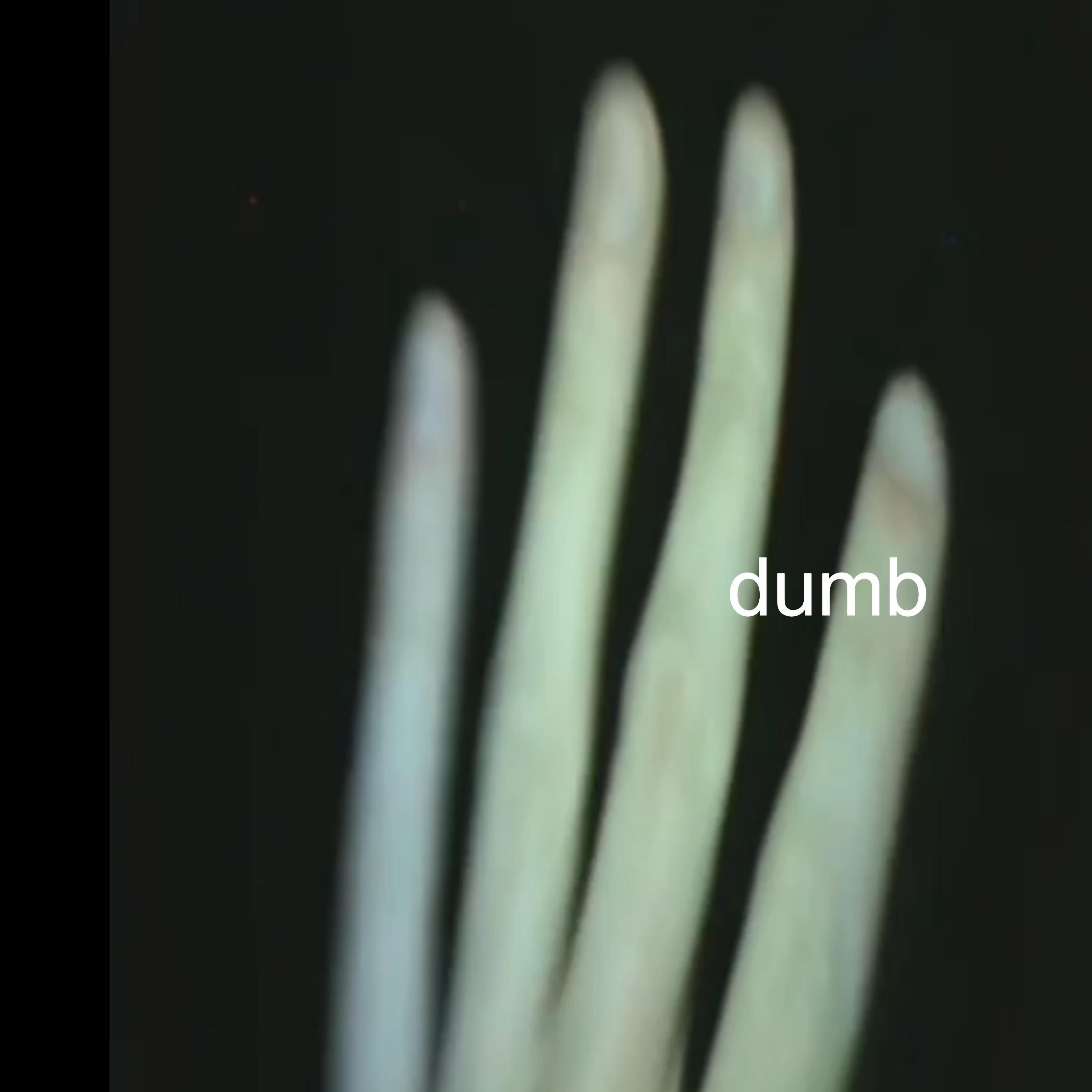 Релиз dumb