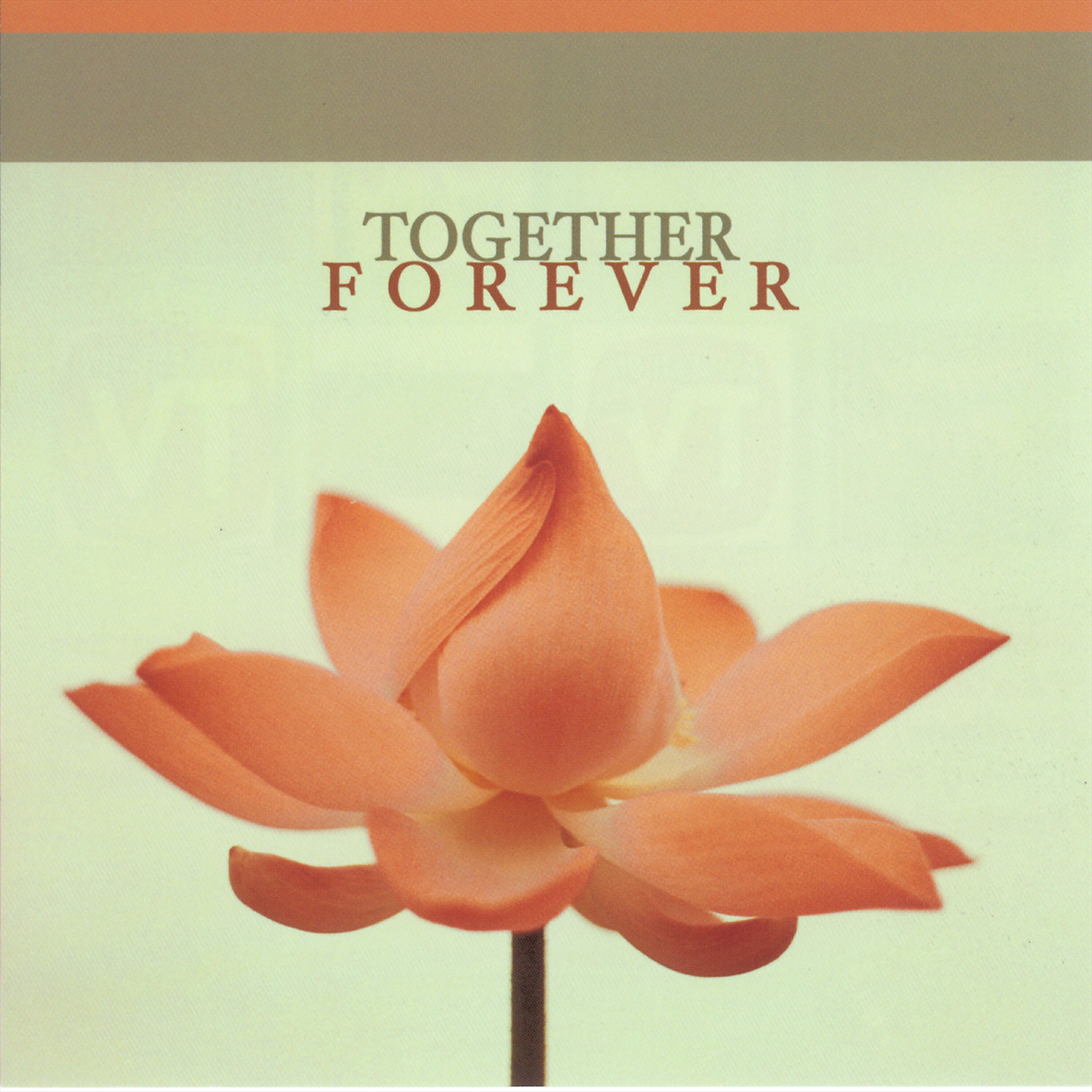 Постер альбома Together Forever