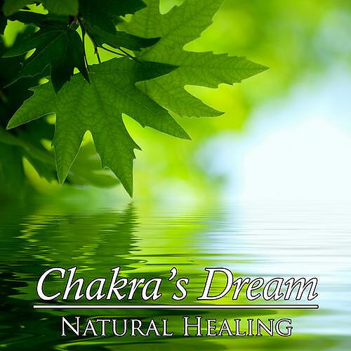 Chakras Dream