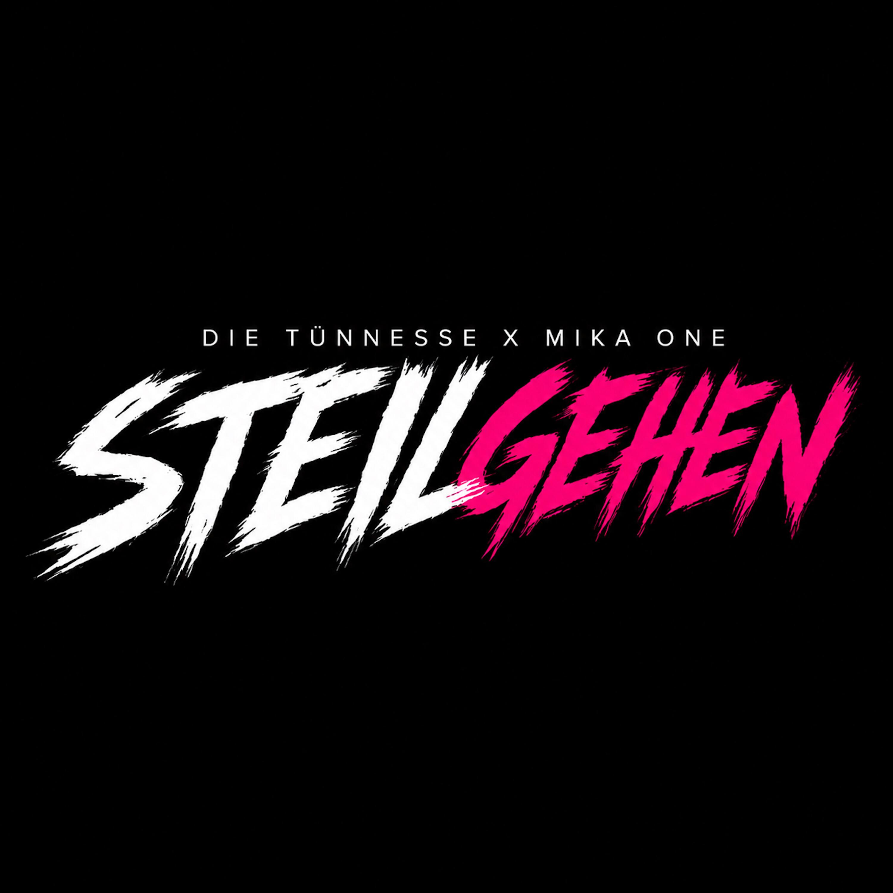 Die Tünnesse