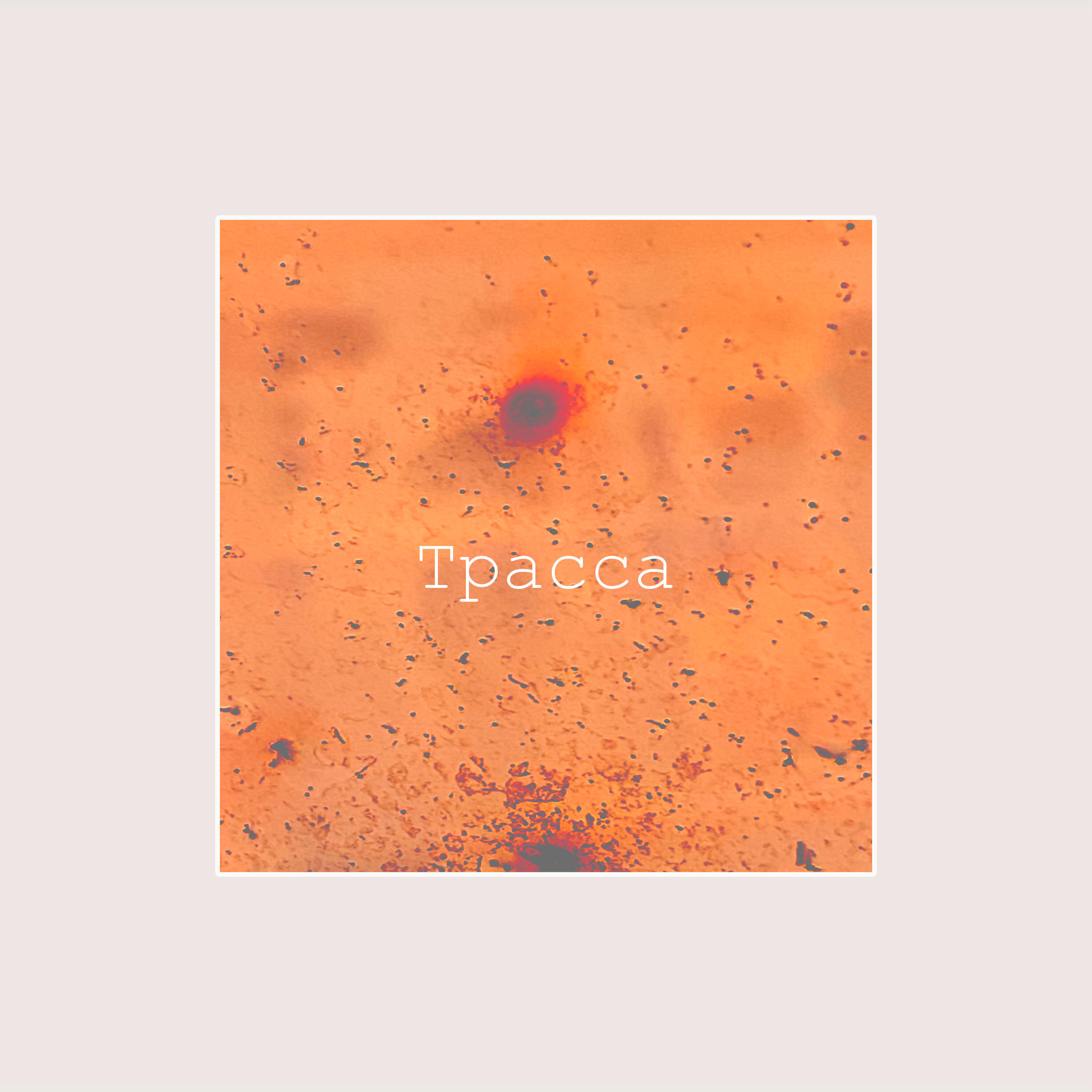 Релиз Трасса