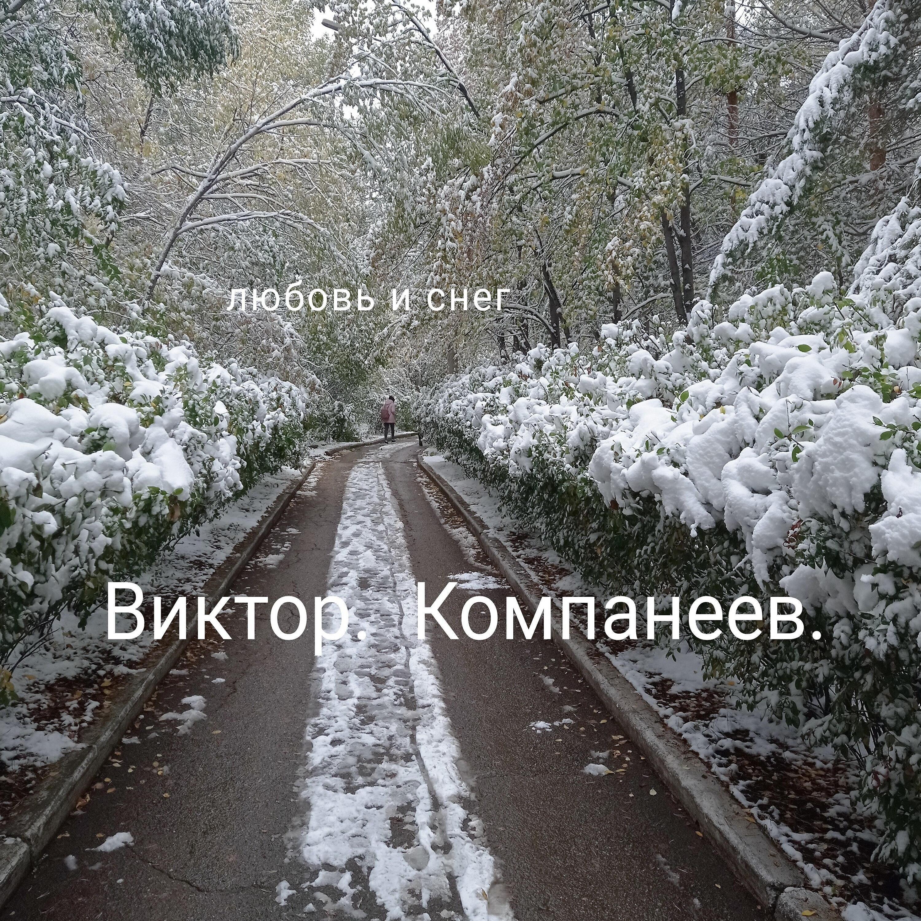 Виктор Компанеев
