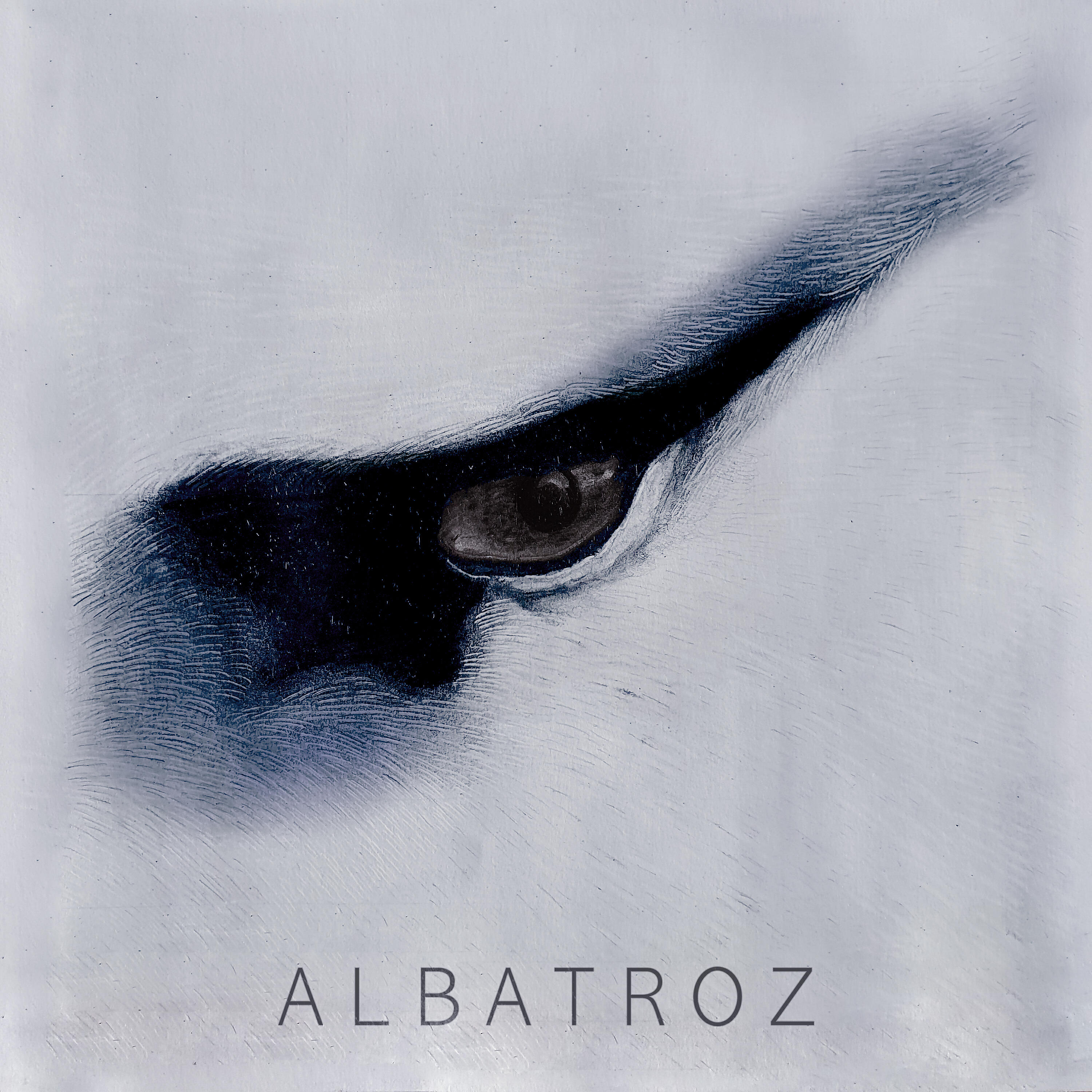Релиз Albatroz / Pensar Pesar Cair