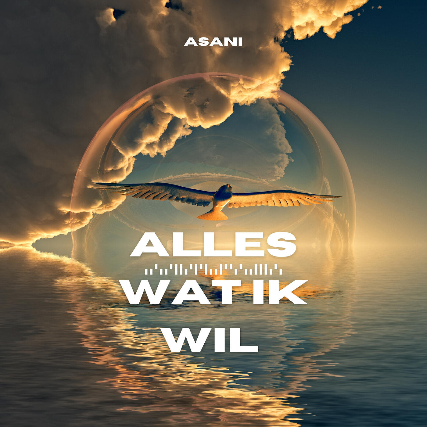 Релиз Alles Wat Ik Wil