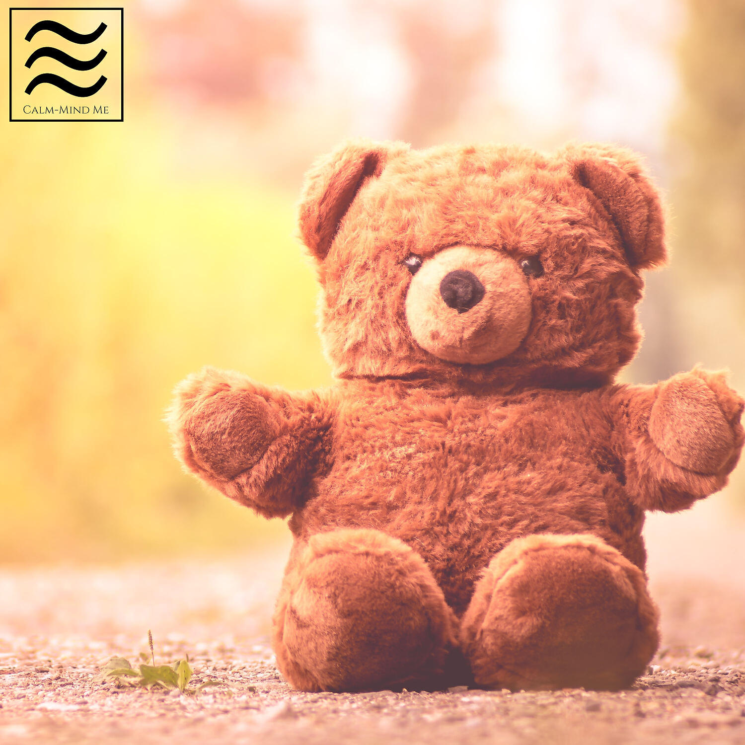 Релиз Calmful Brown Soughs for Sleep