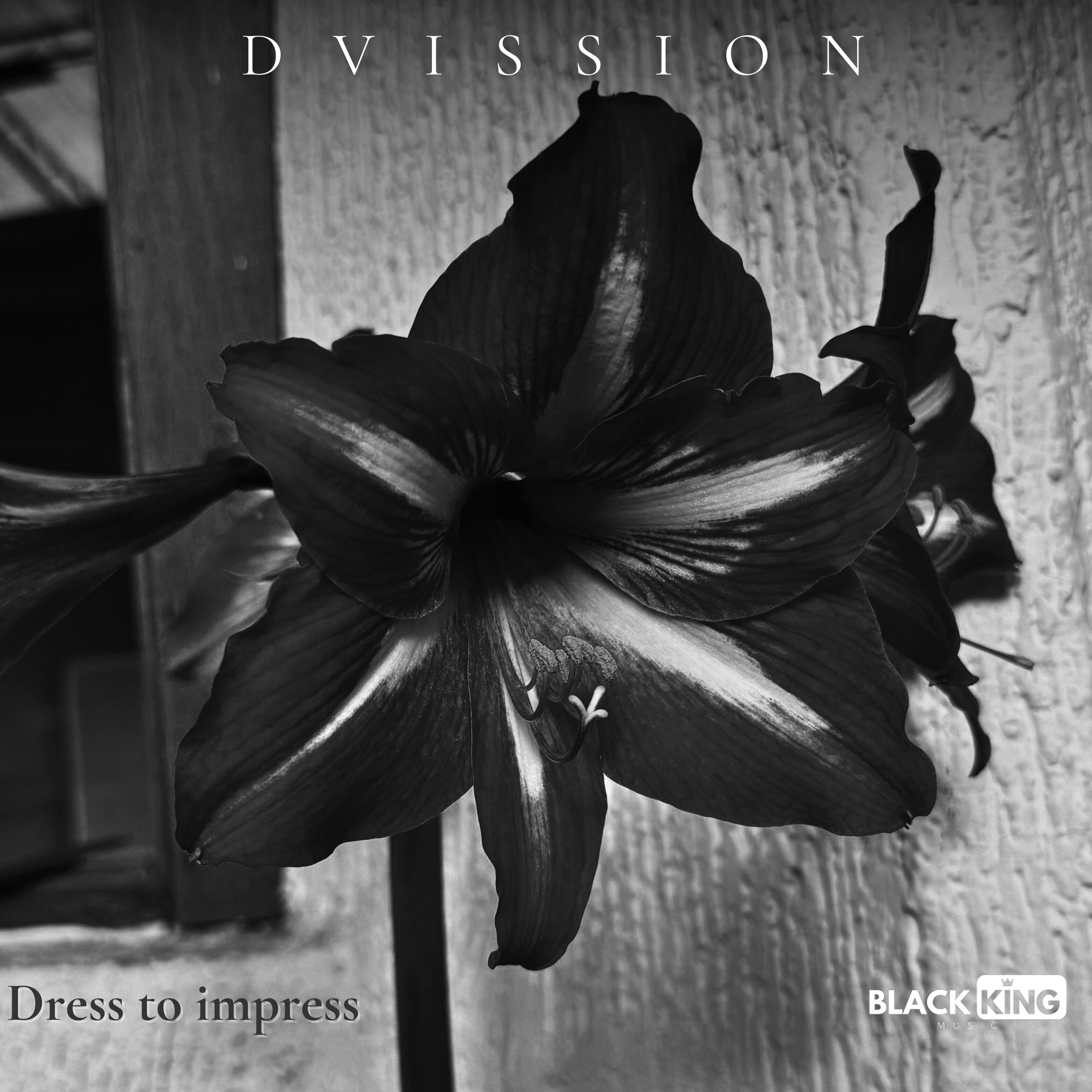 D vission