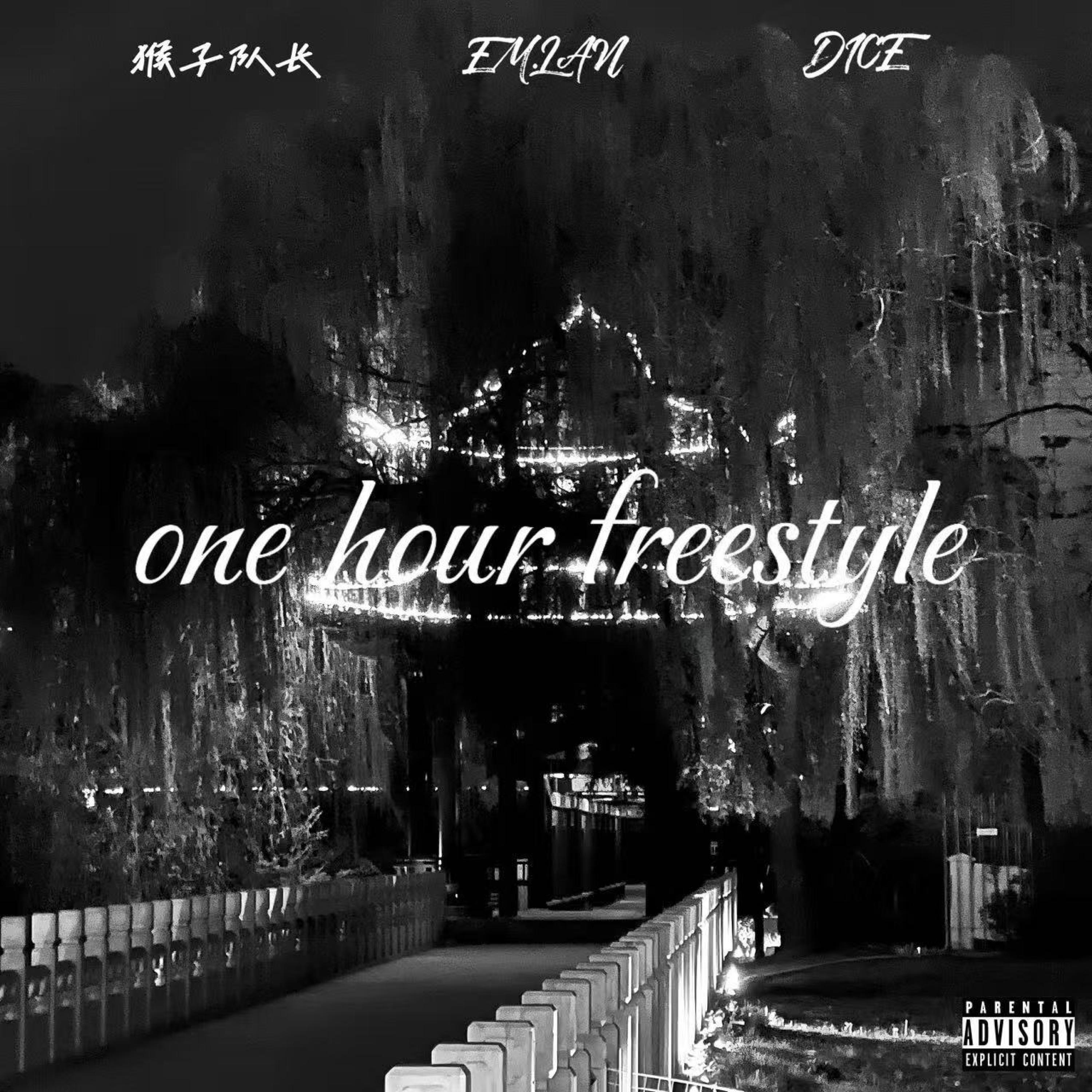 猴子队长