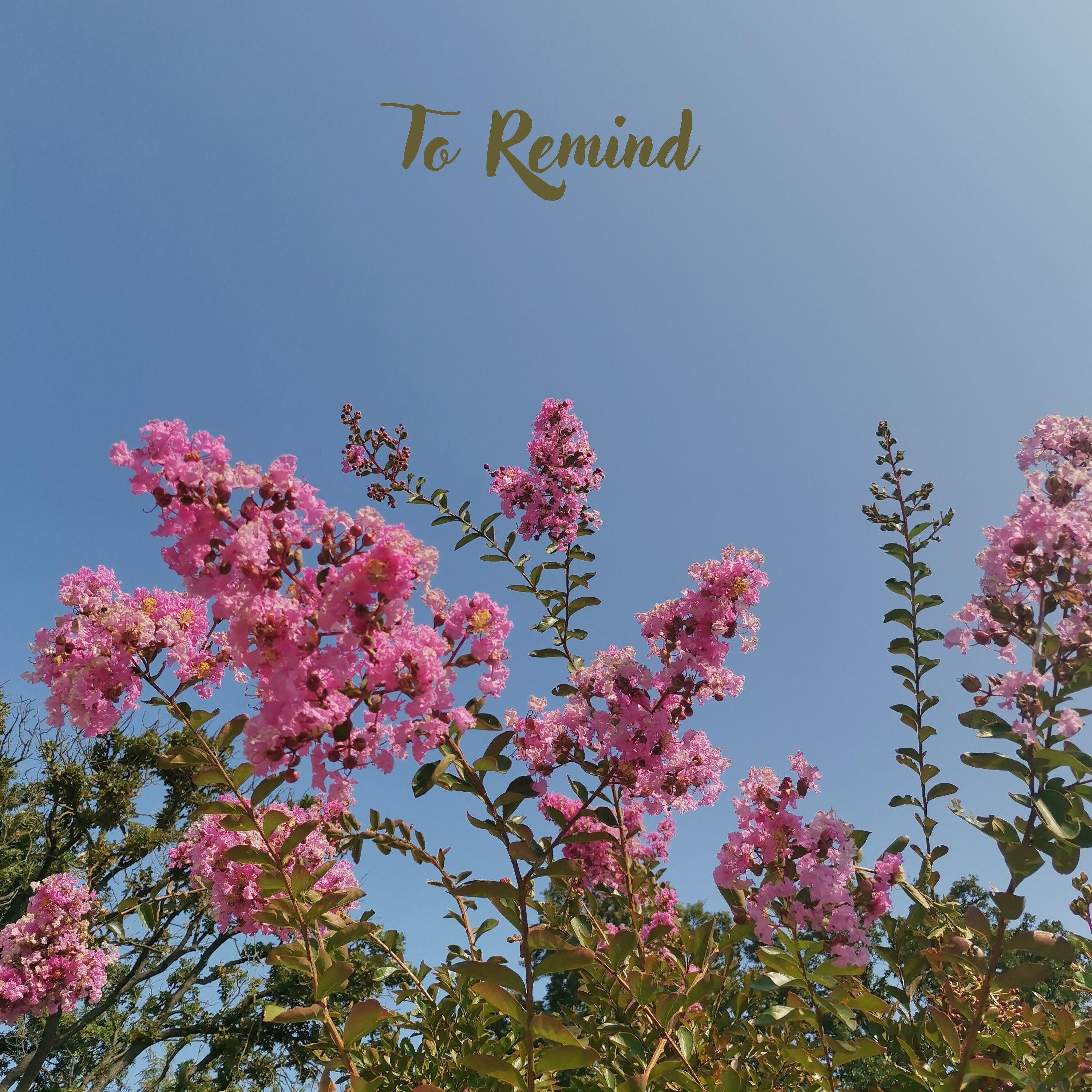 Релиз To Remind