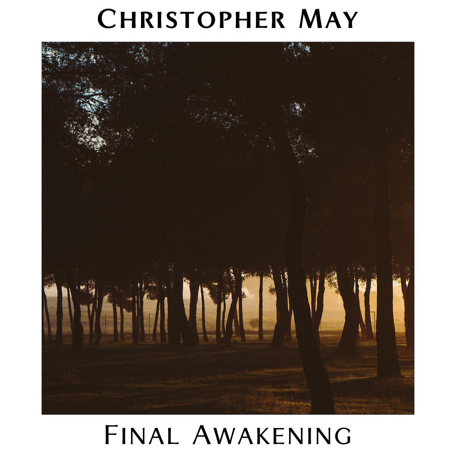 Релиз Final Awakening