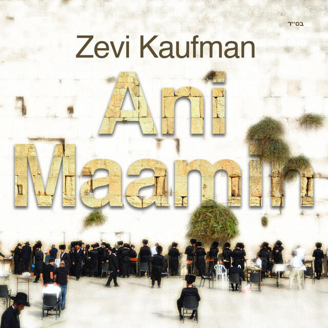 Релиз Ani Maamin