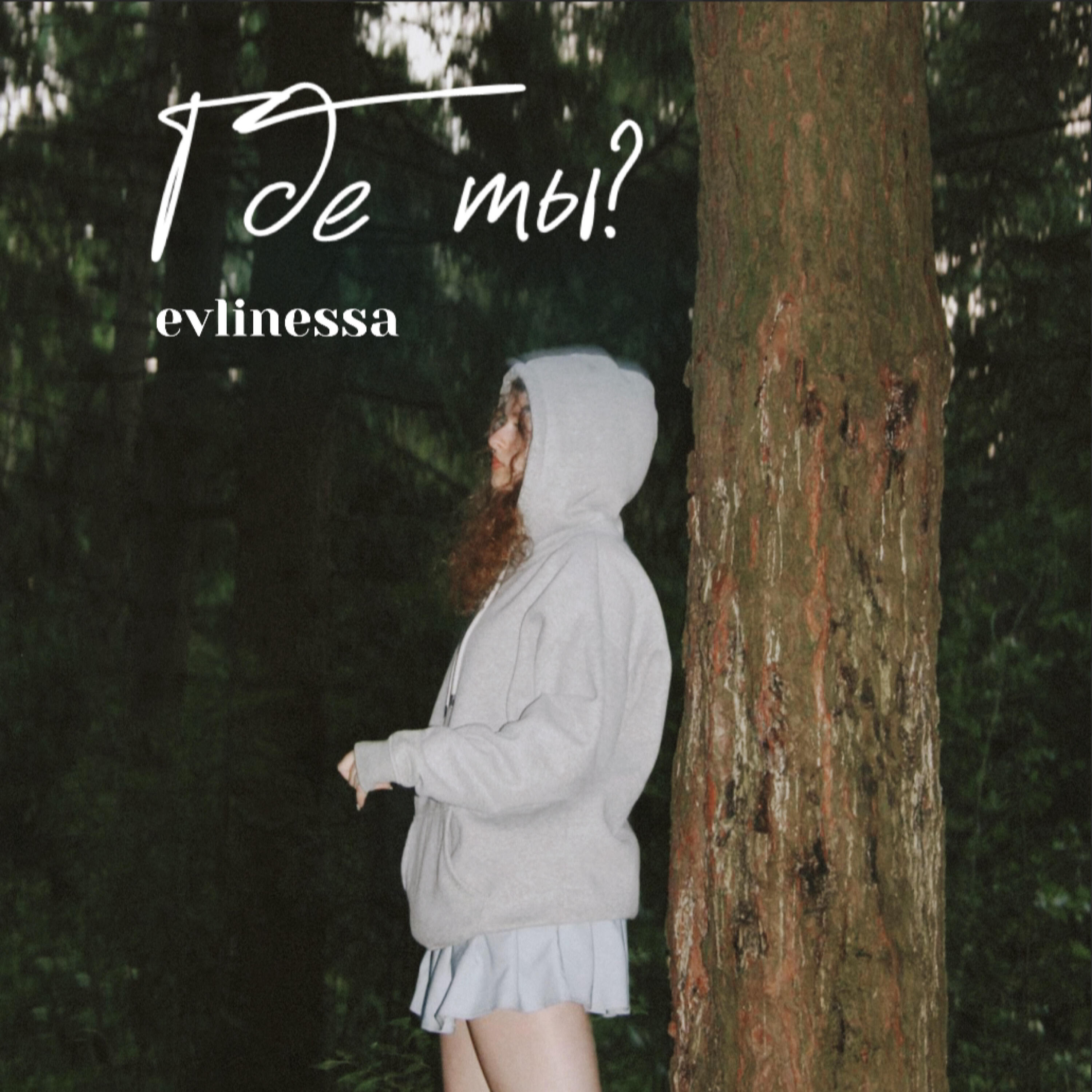 evlinessa