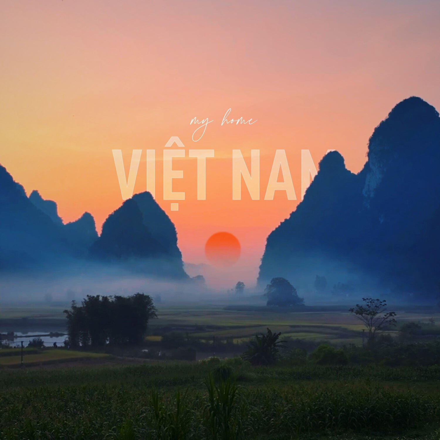 Nguyen Loi