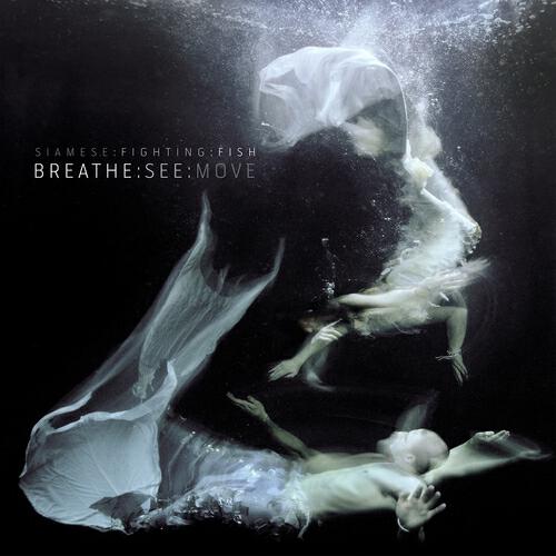 Релиз Breathe:See:Move