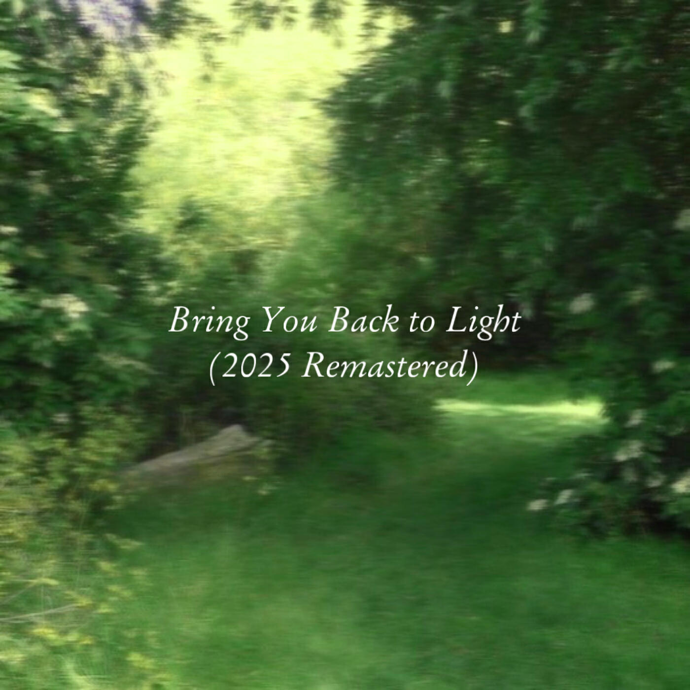 Релиз Bring You Back to Light (2025 Remastered)