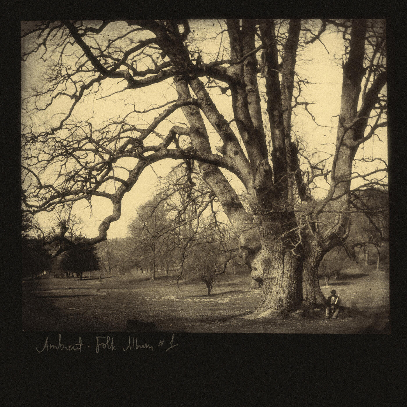 Релиз Music for Wooden Rooms