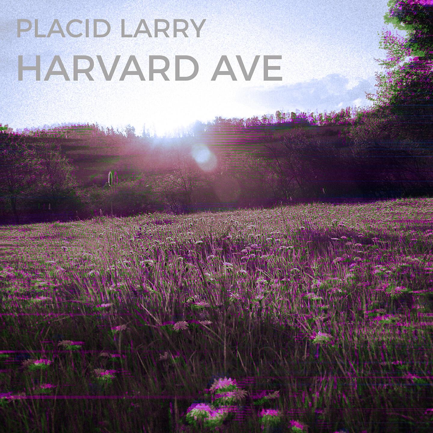 Релиз Harvard Ave
